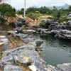 太湖石假山石 日式园林太湖石造景 太湖石一吨价格