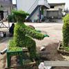 点击查看大图