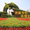 成都真植物造型 定制仿真绿雕 真植物景观造型