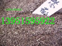 紫薇种子100斤皂角种子200斤抓紧买啊 迟到不等哦