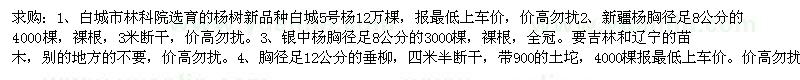 求购银中杨、五角枫、新疆杨和白城5号杨 