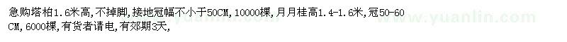 求购塔柏1.6米高,月月桂高1.4-1.6米