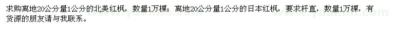 求购1公分北美红枫、日本红枫各1万