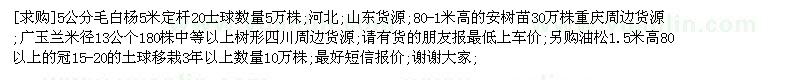 求购5公分毛白杨 安树苗 广玉兰