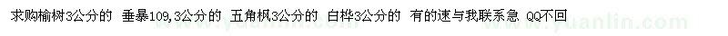 求购榆树　垂暴　五角枫3　白桦