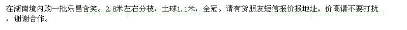 求购一批乐昌含笑。2.8米左右分枝，土球1.1米，全冠