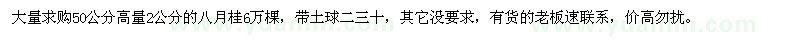 求购50公分高量2公分的八月桂6万棵