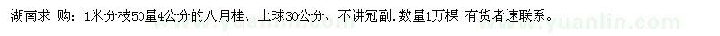 求购1米分枝50量4公分的八月桂、土球30公分