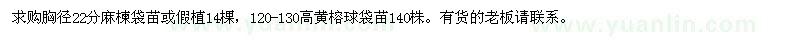 求购麻楝、黄榕球