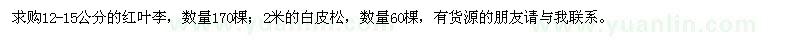 求购12-15公分的红叶李、2米的白皮松