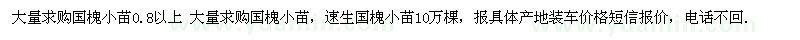 求购国槐小苗0.8以上