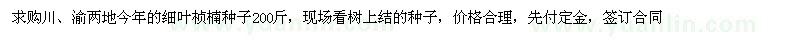 求购川、渝两地今年的细叶桢楠种子