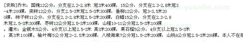 求购乔木：国槐 栾树 垂柳