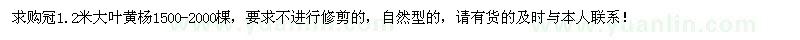 求购冠1.2米大叶黄杨1500-2000棵