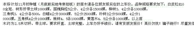 求购本场计划11月初种植：白皮松 国槐 三角枫 榉树 白蜡 朴树 黄连木