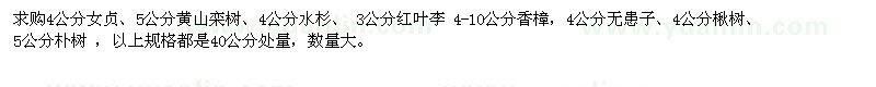 求购女贞、黄山栾树等苗木