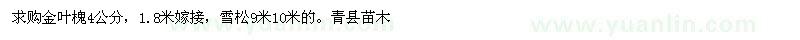 求购金叶槐4公分