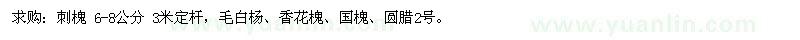 求购刺槐、毛白杨、香花槐、国槐、圆腊2号