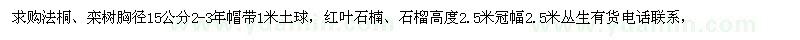 求购法桐、红叶石楠、栾树、石榴树