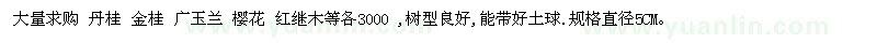 求购丹桂 金桂 广玉兰 樱花 红继木等各3000株