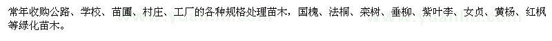 求购公路、学校、苗圃、村庄各种规格处理苗木