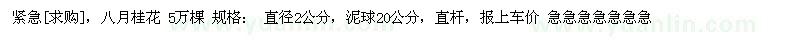 求购八月桂花 5万棵