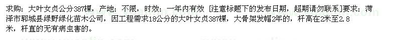 求购大叶女贞18公分 387棵棵