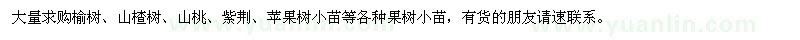 求购榆树、山楂树、山桃、紫荆等小苗