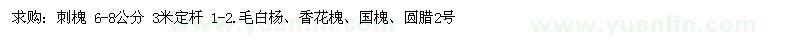 求购刺槐、毛白杨、香花槐、国槐、圆腊2号 