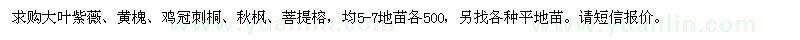 求购大叶紫薇、黄槐、鸡冠刺桐、秋枫、菩提榕