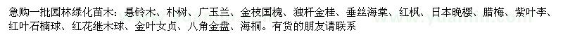 求购悬铃木、朴树、广玉兰、金枝国槐、独杆金桂、垂丝海棠、红枫、日本晚樱、腊梅等一批园林绿化苗木