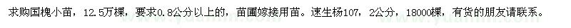 求购国槐小苗、速生杨107