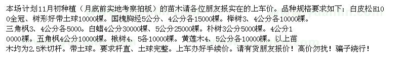 求购白皮松H100、国槐、榉树、三角枫、白蜡