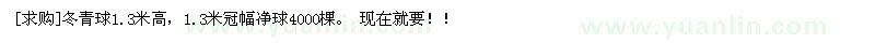 求购冬青球1.3米高，1.3米冠幅净球4000棵