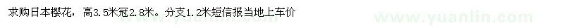 求购高3.5米日本樱花