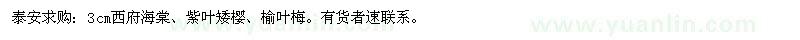 求购3cm西府海棠、紫叶矮樱、榆叶梅