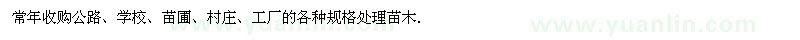 求购公路、学校、苗圃、村庄各种规格处理苗木