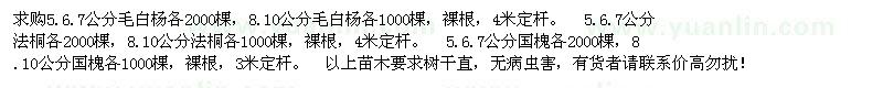 求购5--10公分毛白杨、国槐、法桐