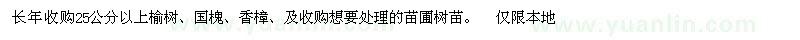 求购25公分以上榆树、国槐、香樟、及收购想要处理的苗圃树苗