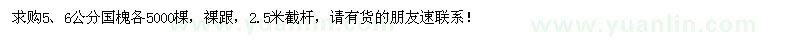 求购5、6公分国槐各5000棵