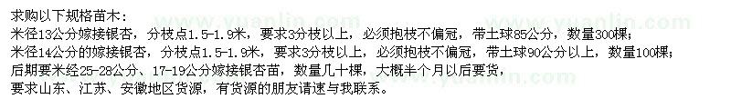 求购米径13、14公分嫁接银杏400棵