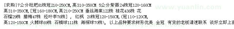 求购枇杷 紫薇 垂丝海棠 花石榴 腊梅 红枫 海桐球等