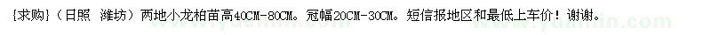 求购（日照 潍坊）两地小龙柏苗高40CM-80CM