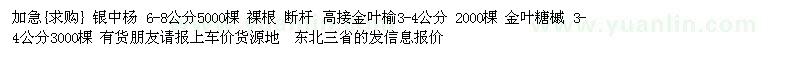 求购加急：银中杨 高接金叶榆 金叶糖槭