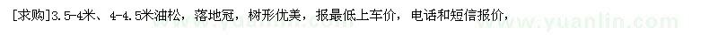 求购3.5-4米、4-4.5米油松，落地冠，树形优美