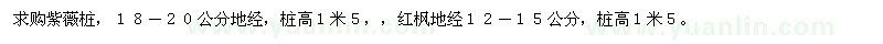 求购地径18-20公分紫薇桩、地径12-15公分红枫
