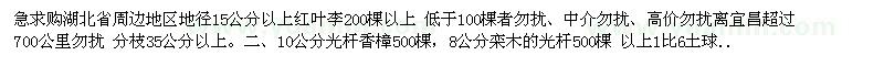 求购15公分以上红叶李200棵以上