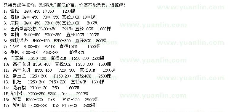 求购雪松、意杨、栾树等