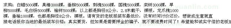 求购白蜡、国槐、刺槐、栾树、垂柳、旱柳、毛白杨、龙爪槐、垂榆