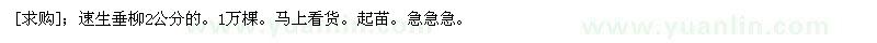 求购速生垂柳2公分的。1万棵